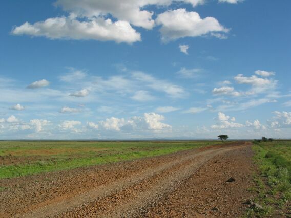 The road to Marsabit. Kenya.